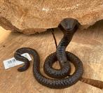 GIETIJZEREN SLANG COBRA 10 CM NIEUW, Tuin en Terras, Tuinbeelden, Dierenbeeld, -, -, Nieuw