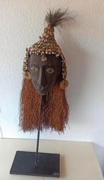 Old large wooden Papua Head shell headdress Asmat Papua New, Antiek en Kunst, Kunst | Niet-Westerse kunst, Ophalen of Verzenden