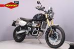 Triumph SCRAMBLER 1200 XE (bj 2024), Triumph Motocycles, Bedrijf, Triumph.Benelux@triumph.co.uk, Toermotor