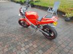 Derbi gpr 50, Fietsen en Brommers, Brommers | Derbi, Ophalen, Gebruikt, 50 cc