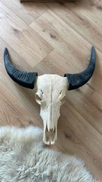 Buffel schedel, Verzenden, Zo goed als nieuw, Schedel