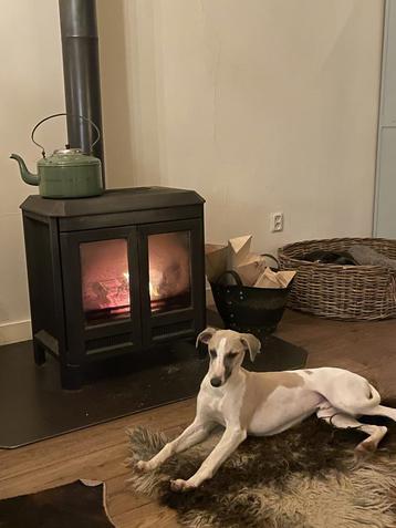 Houtkachel gietijzer merk HELEX beschikbaar voor biedingen