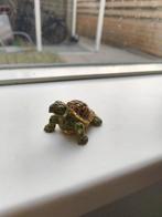 Barcino design schildpad, Verzamelen, Beelden en Beeldjes, Ophalen of Verzenden, Zo goed als nieuw, Dier