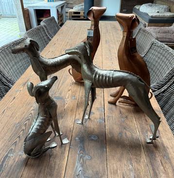 5 Greyhound beelden Galgo windhond beschikbaar voor biedingen