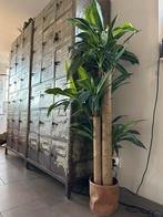 Vintage lockers, Ophalen, Zo goed als nieuw