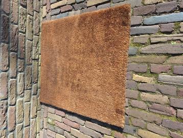 Robuuste, grote kokosmat. beschikbaar voor biedingen