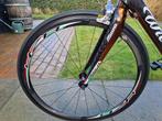 Zeldzame Wilier Triestina racefiets - Limited Edition, 28 inch, Gebruikt, Carbon, 10 tot 15 versnellingen