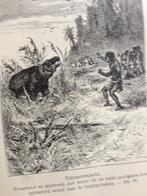 De Hammonia, of De vaart in de Stille Zuidzee ca. 1905, Antiek en Kunst, Ophalen of Verzenden