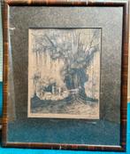 Oude ets/ gravure van A.E. Herrmann, Waringin boom Indonesie, Antiek en Kunst, Kunst | Etsen en Gravures, Ophalen of Verzenden