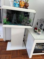 aquarium, Dieren en Toebehoren, Vissen | Aquaria en Toebehoren, Ophalen, Gebruikt, Leeg aquarium