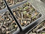Droog openhaardhout /Kachelhout/Haardhout, 3 tot 6 m³, Ophalen, Overige houtsoorten, Blokken