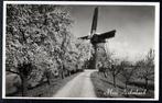 (GD060) Ansichtkaart Beesd molen De Vrijheid 1941 fruitbomen, Verzamelen, Ansichtkaarten | Nederland, Verzenden, 1940 tot 1960