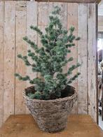 oude leemmand `WOONWINKEL RUSTIEK``, Ophalen of Verzenden