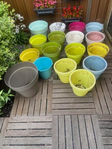 bloempotten beschikbaar voor biedingen