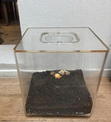 Vierkant biorb aquarium! 20€ beschikbaar voor biedingen