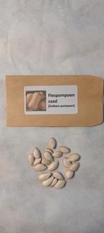 Flespompoen Zaden - Eetbare Pompoen, Ophalen of Verzenden, Voorjaar, Volle zon, Zaad