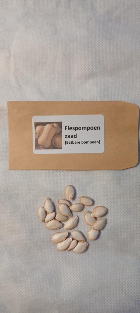 Flespompoen Zaden - Eetbare Pompoen, Tuin en Terras, Bloembollen en Zaden, Zaad, Voorjaar, Volle zon, Ophalen of Verzenden