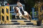 Leuk pony 1.16 voor wat ervaren ruiter, Dieren en Toebehoren