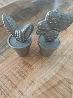 Riviera maison cactus, Ophalen of Verzenden