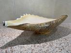 Jozefina Krosno schelpschaal. Vintage, Antiek en Kunst, Ophalen of Verzenden