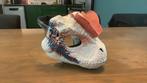 Dino masker DIY, Ophalen of Verzenden, Zo goed als nieuw, Handschoenen, Hoed of Pet