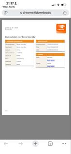 Onbeleerde dressuurmerrie met mooie gangen, Hengst, Dressuurpaard, Met stamboom, 3 tot 6 jaar