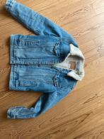 Levi's Spijkerjasje Gewatteerd - Maat S, Ophalen of Verzenden, Zo goed als nieuw, Maat 36 (S), Blauw