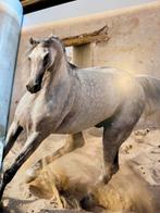 Qatar Arabische Paarden - Prachtig Fotoboek, Ophalen of Verzenden, Zo goed als nieuw, Fotograferen en Filmen
