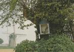 BEMELEN Uitzicht op de Molen, Verzenden, 1980 tot heden, Ongelopen, Limburg