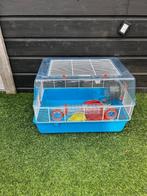 Hamster kooi met toebehoren, Dieren en Toebehoren, Knaagdieren en Konijnen | Hokken en Kooien, Minder dan 75 cm, Zo goed als nieuw