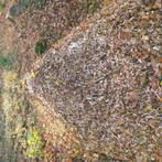 Houtsnippers, Tuin en Terras, Ophalen, Gebruikt, Bruin, Overige typen