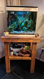 Super Fish 50 liter Aquarium. Incl. tafel en accessoires!, Ophalen, Gebruikt, Gevuld zoetwateraquarium