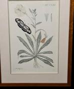 MEERBURGH 3Xoude gravures 18E, Antiek en Kunst, Ophalen of Verzenden