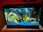 Juwel primo 2.0 70 liter, Dieren en Toebehoren, Vissen | Aquaria en Toebehoren, Ophalen, Gebruikt, Leeg aquarium