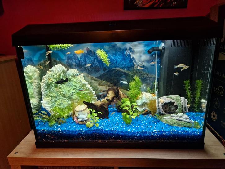 Juwel primo 2.0 70 liter, Dieren en Toebehoren, Vissen | Aquaria en Toebehoren, Gebruikt, Leeg aquarium, Ophalen