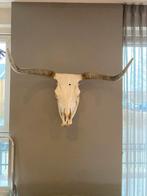 Buffel schedel met hoorns - Decoratie, Huis en Inrichting, Ophalen, Zo goed als nieuw