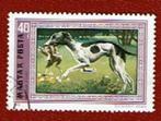 Fauna - Honden - Hongarije - Jachthond met prooi - gebr, Ophalen of Verzenden, Gestempeld, Dier of Natuur