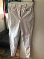 Wedstrijdbroek maat 36, Ophalen of Verzenden, Nieuw, Dressuur, Onderkleding