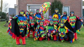 Carnavalskleding beschikbaar voor biedingen