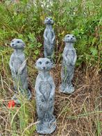 Vrolijke Stokstaartjes, in de Tuin, Leuk Kado!, Tuin en Terras, Tuinbeelden, Ophalen of Verzenden, Nieuw, Steen, Dierenbeeld