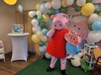 Peppa Pig mascotte te huur, Ophalen, Zo goed als nieuw, Overige