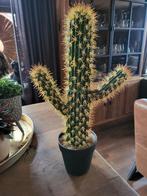 Cactus kunstplant, Ophalen