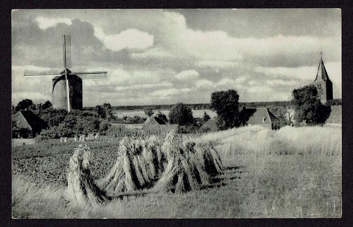 Zeddam met molen - Gezicht op Zeddam - Het Montferland, Verzamelen, Ansichtkaarten | Nederland, Ongelopen, Gelderland, 1940 tot 1960