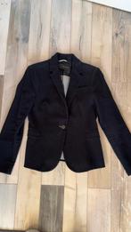 Prachtige fluwelen blazer Zara maat M, Kleding | Dames, Maat 38/40 (M), Blauw, Ophalen of Verzenden, Zo goed als nieuw