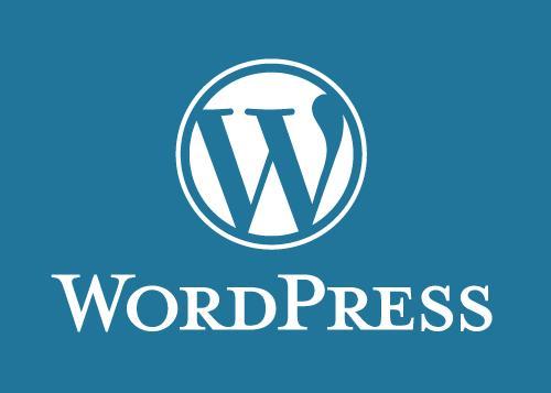 WordPress website nodig!? Contacteer., Boeken, Informatica en Computer, Ophalen