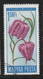 Hongarije 1966 - Bloem, Ophalen of Verzenden, Gestempeld
