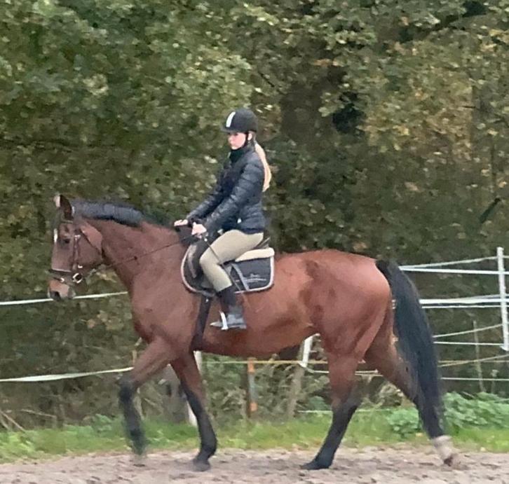 Bijrijdsters/verzorgster aangeboden, Dieren en Toebehoren, Paarden en Pony's | Verzorgingsproducten, Zo goed als nieuw, Ophalen of Verzenden