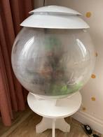 Biorb Aquarium. 60 liter, Dieren en Toebehoren, Ophalen, Gebruikt, Leeg aquarium
