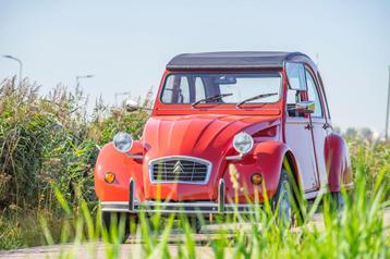 Citroen 2 CV 6 Special beschikbaar voor biedingen