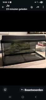 Aqaurium 60x 30, Dieren en Toebehoren, Ophalen, Zo goed als nieuw, Leeg aquarium